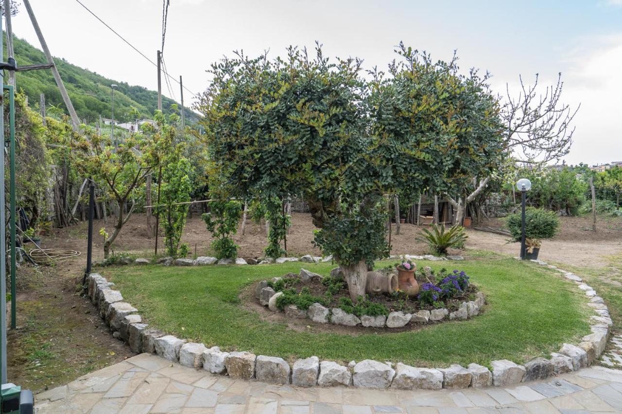 Villa La Pace Sant'Agnello Ngoại thất bức ảnh